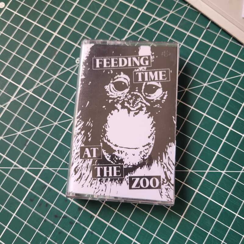 Feeding Time at the Zoo (2023) — image 2